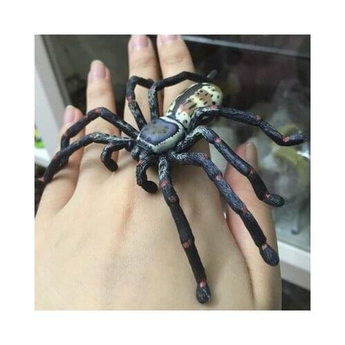 Pvc figure model toy Simulation realistic animal model insect model toy teach big spider giant spider spider tarantula