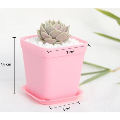 Colorful Cute Plastic Small Meaty Plant Flower Pot Grow Box 40/Bag