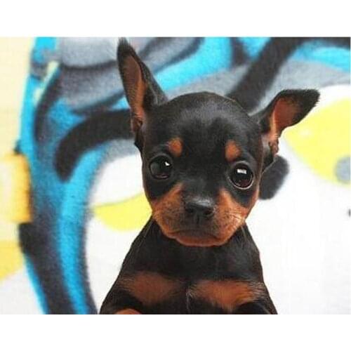 Miniature Pinscher diamond embroidery puzzles diamond painting sale for mosaic picture of rhinestones cross-stitch Z1009