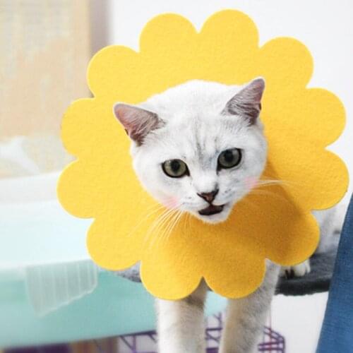 Pet Recovery Collar Sunflower Shape Pet Protective Collar Cat Collar Puppy Protective Collars Recovery Pets Collar for Kitten