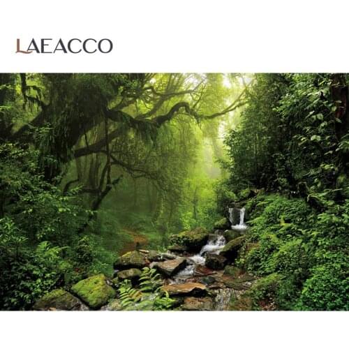 Natural Backgrounds For Photography Jungle Forest Tree Green Moss Shrub Moss Creek Stone Scenic Photo Backdrop Photo Studio