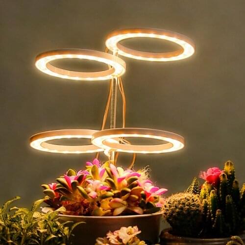 DIDIHOU LED Plant Lamps