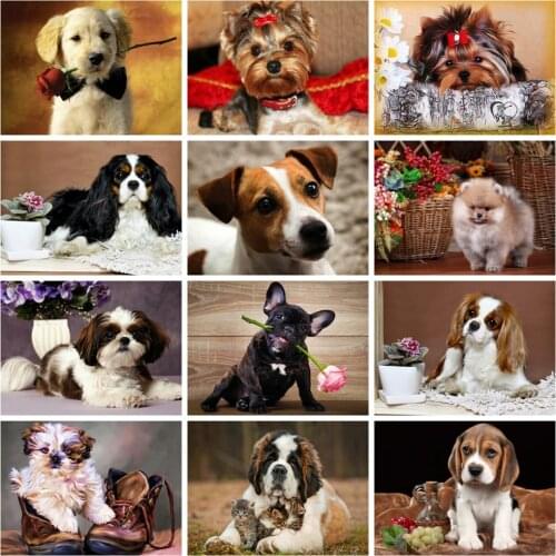 Huacan Diy Diamond Painting Dog Full Square/round Mosaic Animal Pet Embroidery Cross Stitch Rose Flower Diamond Art