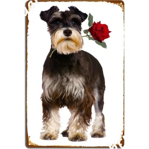 Schnauzer Rose Metal Signs Wall pub pub Garage Wall Plaque create Tin sign Posters