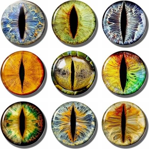 Frost Dragon Eye 30 MM Fridge Magnet Glass Cabochon Note Holder Evil Eye Magnetic Refrigerator Stickers Fridge Decoration