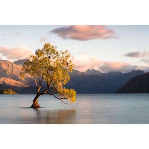 New Zealand Tree Lake The wooden puzzle 1000 pieces ersion jigsaw puzzle white card adult childrens educational toys