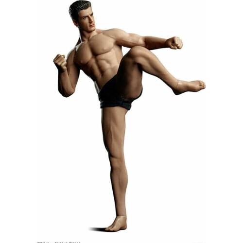 TBLeague TM01A 1/12 Male Body & Head Model Flexible Action Figure Doll Toy