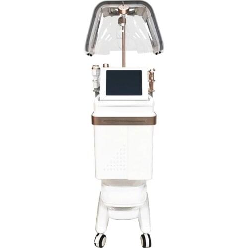 10 in 1 Salon Facial PDT Firm Skin Microdermabrasion Eliminate Wrinkles Bio Suction Multifunction Machine