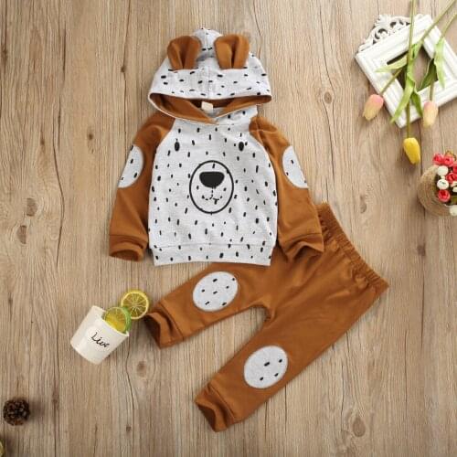 0-24M Winter Clothes Sets Baby Boy Animal Print Hooded Boys Sweatshirt Girl T Shirt Girls Pants Autumn Outfit Baby Tracksuit Set