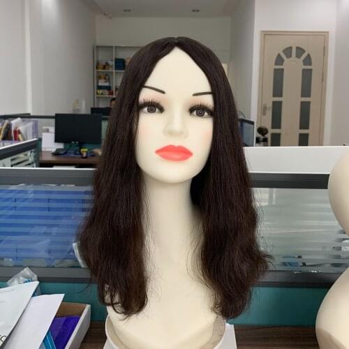 Alishevy Natural Wigs