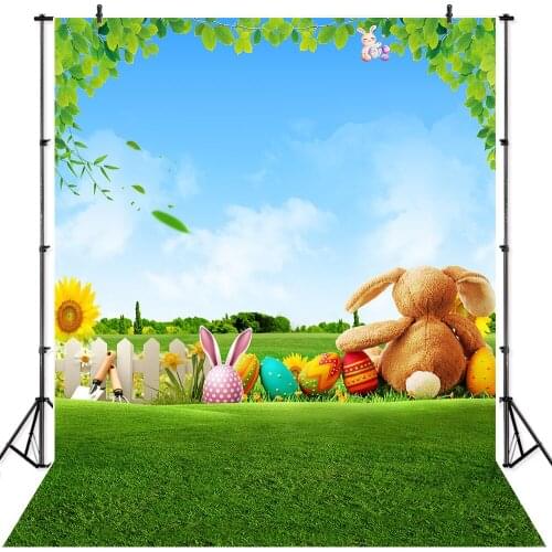NeoBack Spring Easter Blue Sky Bunny Egg Sun Flower Baby Photocall Photo Background Children Kids Studio Photography Backdrop