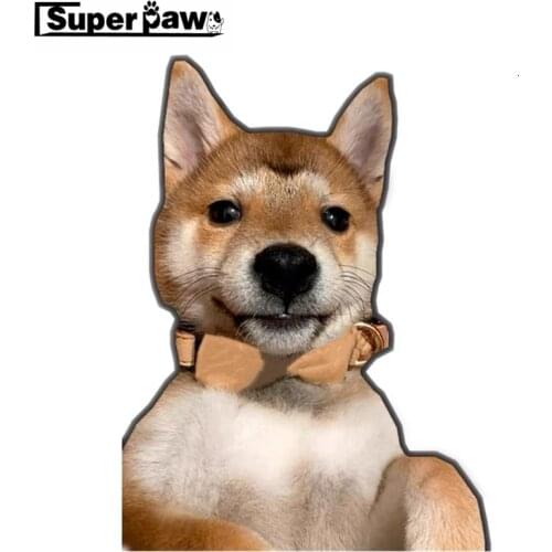 Fashion Pet Dog PU Leather Bowtie Collar Leash Set for Small Medium Dogs French Bulldog Yorkie Outdoor Leading Accessories MGL05