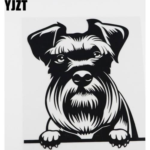 YJZT 15.6CMX17.2CM Waterproof Schnauzer Dog Peeking Vinyl Car Sticker Black/Silver 8A-0058