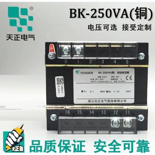 Tianzheng Electric BK-250VA all copper control transformer 380 220 110 36 24 12 6 AC