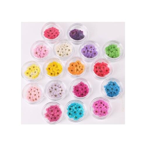20pcs Pressed Dried flowers Narcissus Plum Blossom Flower With Box For Epoxy Resin Jewelry Making Nail Art Craft DIY Accessories