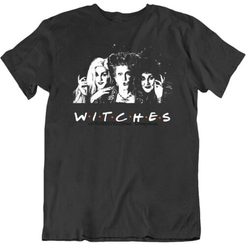 Sanderson Sisters Witches Friends Parody Hocus Pocus Squad Halloween T Shirt