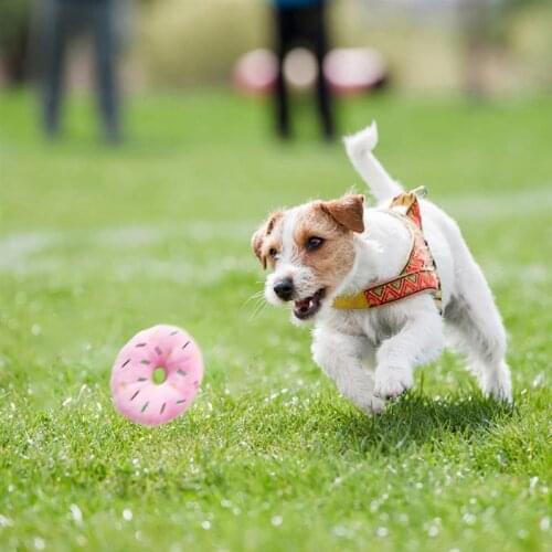 1pc Cute Plush Dog Toy Cartoon Donuts Shape Bite-Resistant Pet Chew Toy Pet Squeaky Toys Pet Supplies Cat Dog Favors