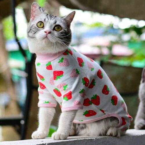 New 2022 Spring Autumn Sphynx Puppy Pet Cat Clothes For Cats Summer Fashion Print Cotton Sweater Classic Hairless Cat Clothes
