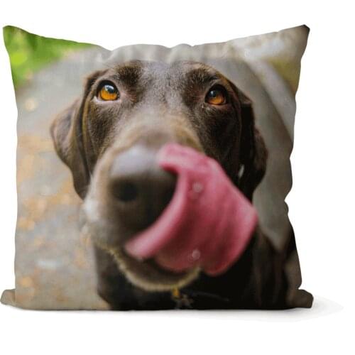 Animals Velvet, Cotton Canvas square pillow cover cushion cover, used for sofa living room office party car