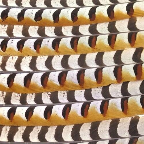 Natural Rare Pheasant Tail Feathers for Crafts 4-72inch Reeves Venery Pheasant Tail Feather Carnival Costumes Decoration Plumas