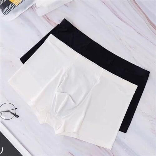 Summer Ice Silk Men Underwear Seamless Transparent Boxer Shorts Ultra Thin Sheer Breathable Comfortable Panties Underpants