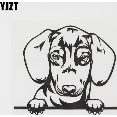 YJZT 15.4CMX13.6CM Lovely Dachshund Peeking Dog Decal Vinyl Car Sticker Black/Silver 8A-0521