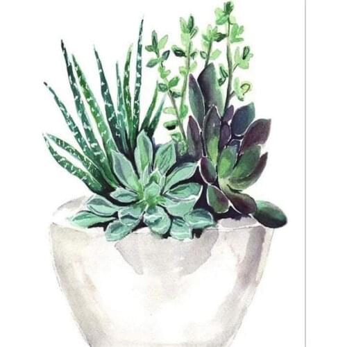 GATYZTORY DIY Painting By Numbers Succulent Plants Oil Painting Flower HandPainted Home Decor Gift Canvas Drawing