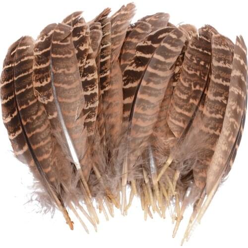 50pcs Natural Hen Pheasant Tail Feathers Wedding Party Millinery Craft DIY Decor for DIY Carnival Costume Mask Headdress