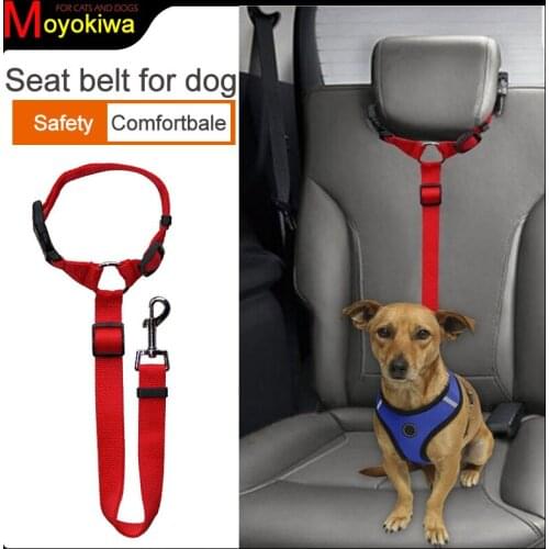 Moyokiwa Dog Harness