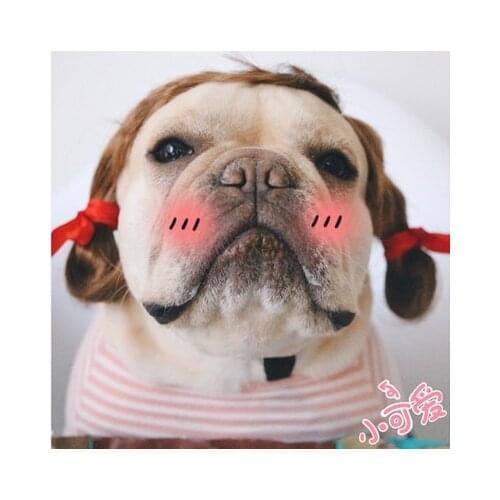 2021 Fashion Pet Wigs Cat Dog Cospaly Props Wigs Tiara Hairpiece Makeover Clothing Pet Supplies Cute Pet Wig Cap