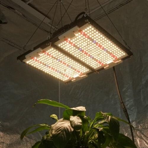 Led Grow Light Kingbrite Full Spectrum UV IR Lm301h 240W CREE LG Seperate Control For Indoor Garden