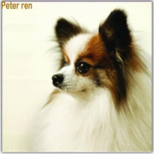 Peter ren Diamond painting cross stitch DIY Diamond embroidery Animal dog Square drill &Round diamond mosaic Full image Papillon