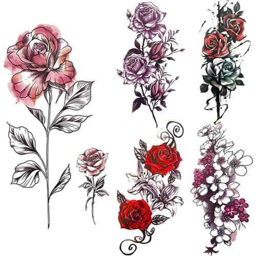 FANRUI Watercolor Paints