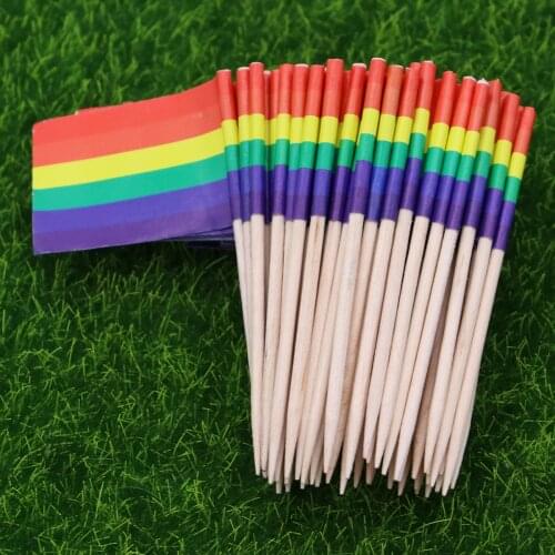 Pack of 100 Racing Flag Toothpicks Flag Picks Appetizer Toothpicks Fruit Sticks for Cocktail Party - Rainbow