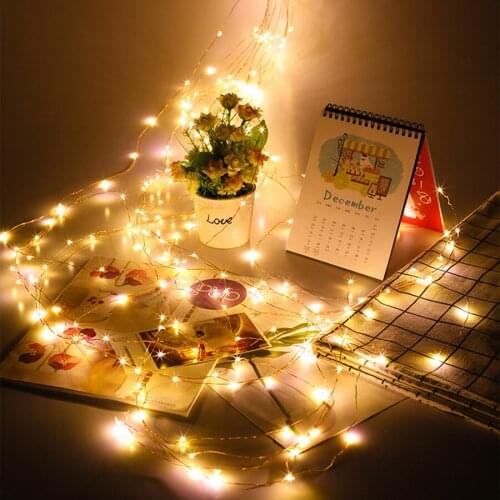 30*2M 600 LED Vine Branch String Light Wedding Party Plant Tree Branch Garland Light DC12V Copper Wire Branch Light