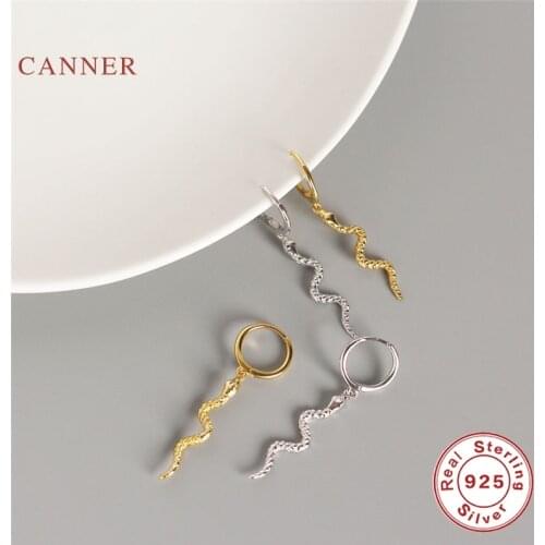 CANNER Earrings For Women Real 925 Sterling Silver Snake Earrings Hoops Zircon Diamond Korean Gold Jewelry Aretes De Mujer