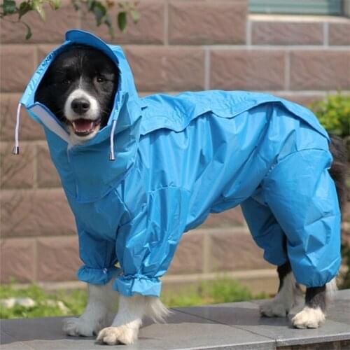 ORANGE LEAF Raincoats For Dogs