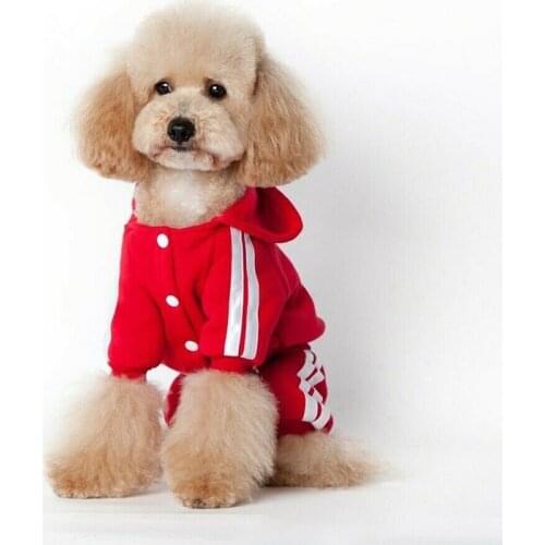 SAFEBET Sweatshirts For Dogs