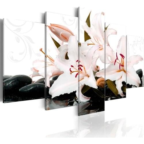 5 Panel Wall Pictures for Living Room Picture Print Painting On Canvas Wall Art Home Decor Living Room Canvas Print/PJMT-B (247)