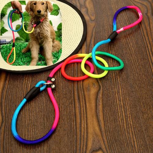 Dog Leash Colorful Dog Leash and Collar Set Nylon P-chain Leashes for Dogs Walking Pets Accessories Adjustable Dogs Leashes