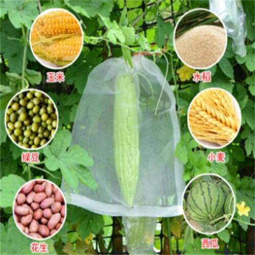 20Pcs Grape Bagging Fruit Insect-proof Nylon Mesh Bag Anti-fruit Fly Anti-bird Net Bag Fruit and Vegetable Insect-proof