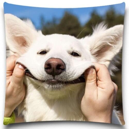 Animal Cushion Cover Home Decor Natural Design Colorful 5 Size 9 style to Choose Dog Pattern Cotton Polyester Pillow Case