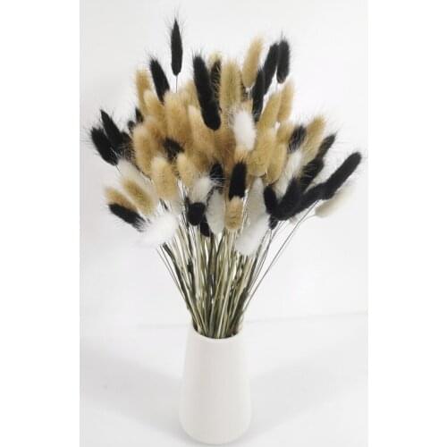 EchoiHua Home And Garden Products