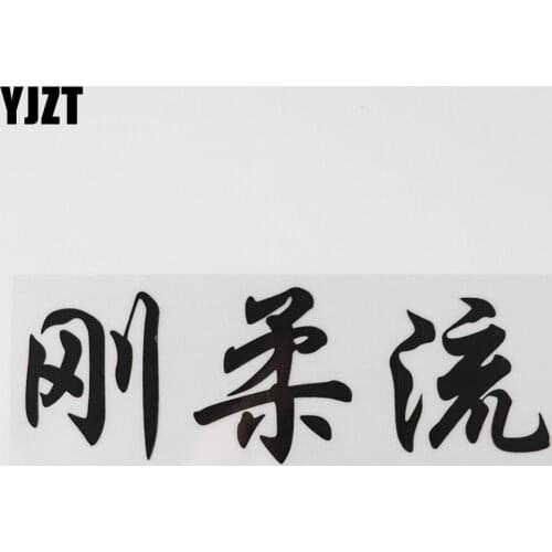 YJZT 16.7CM×5.6CM Rigid And FlexibleRigid Hieroglyphics Chinese Characters Humorous Words Decal Car Stickers Vinyl 13D-0525