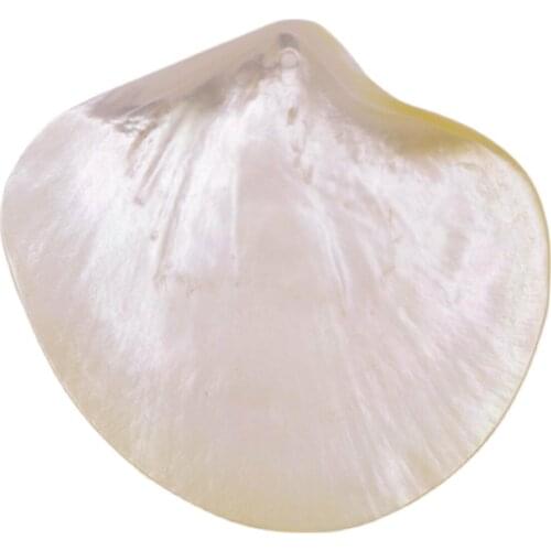 60-80mm Natural Light Yellow Mother of Pearl Sea Shell Dish Home Decor