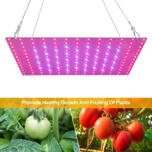 WITOP WITOP LIGHTING Phytolamps For Plants