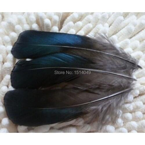 Free shipping wholesale 20pcs nature Wild goose feathers 10-15cm/4-6inch Decorative diy collect