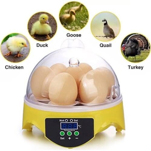 Mini 7 Egg Incubator Poultry Incubator Brooder Digital Temperature Hatchery Egg Incubator Hatcher Chicken Duck Bird Pigeon
