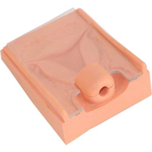 Contraceptive guidance model Family planning upper ring training model IUD exercise model