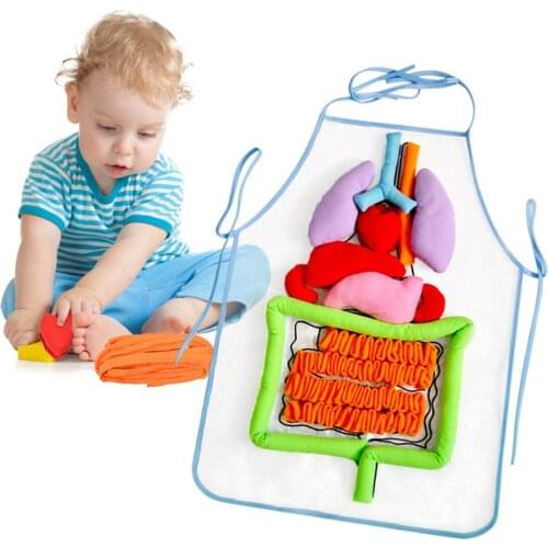 Simulation Human Body Apron Teaching Utensils Children Puzzle Enlightenment Apron Early Education Teaching Aids